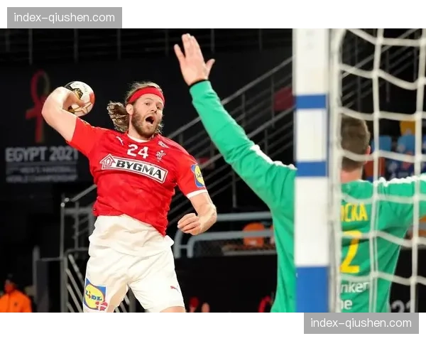 手球传奇博物馆在丹麦赫尔宁开馆，首日迎万名访客